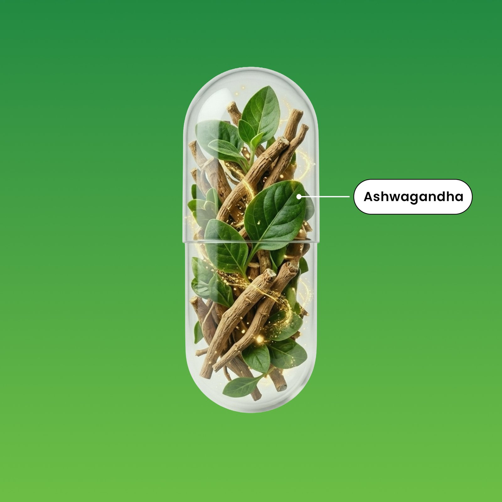 ASHWAGANDHA KSM-66® – Image 2