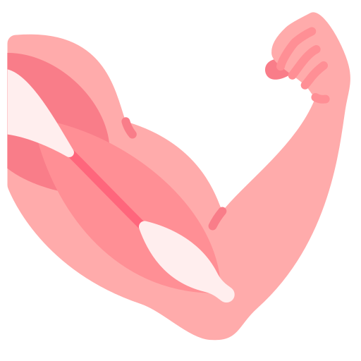 Augmente la force et la puissance