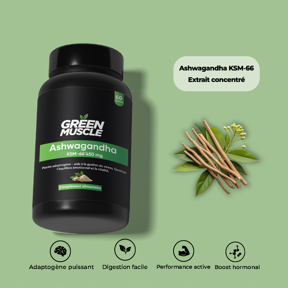 ASHWAGANDHA KSM-66® – Image 2